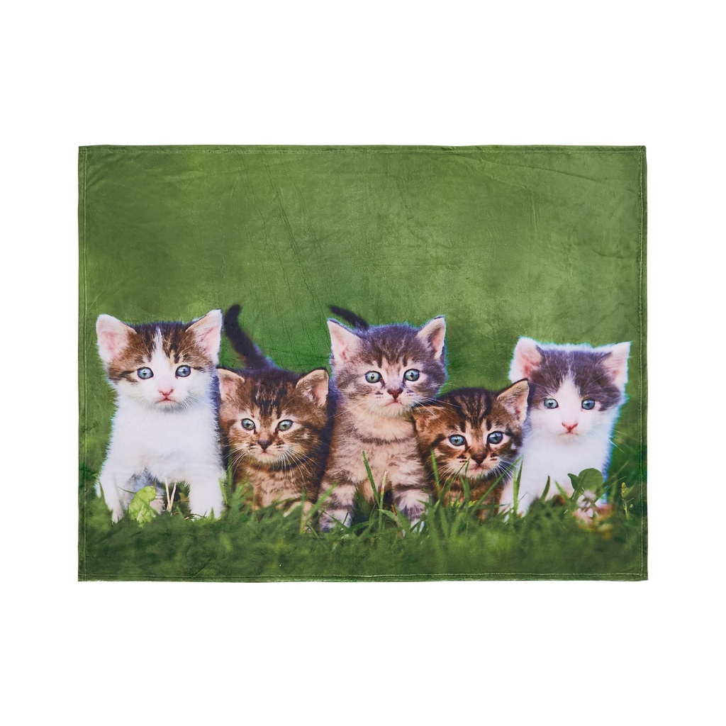 Animal Printed Throw