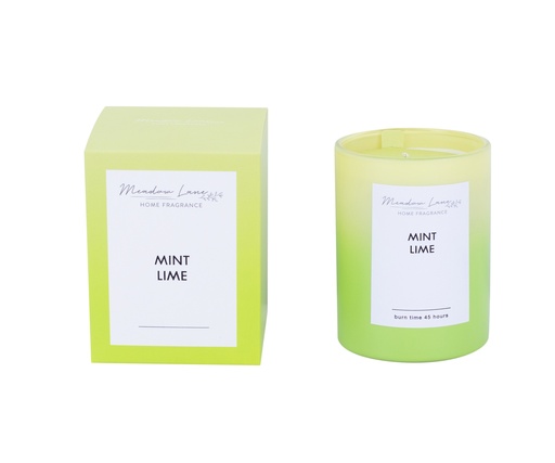 Ombre diffuser 180ml - Mint Lime
